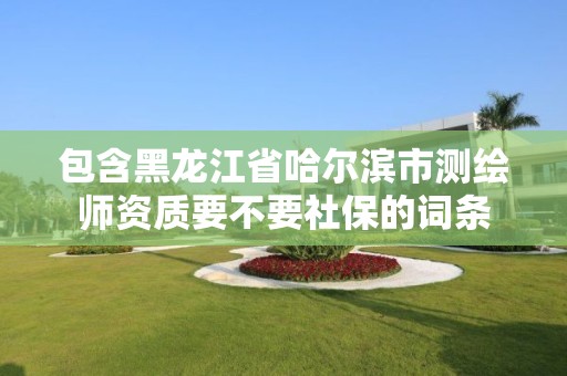 包含黑龍江省哈爾濱市測繪師資質要不要社保的詞條