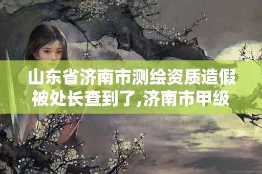 山東省濟南市測繪資質造假被處長查到了,濟南市甲級測繪資質單位。