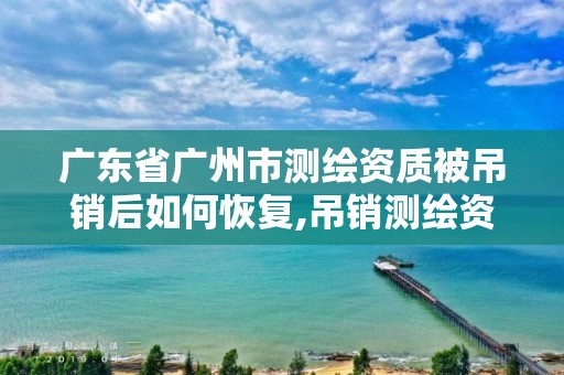 廣東省廣州市測繪資質(zhì)被吊銷后如何恢復(fù),吊銷測繪資質(zhì)證書。