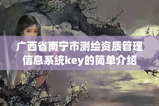 廣西省南寧市測繪資質(zhì)管理信息系統(tǒng)key的簡單介紹