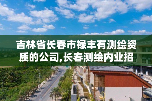 吉林省長春市祿豐有測繪資質的公司,長春測繪內業招聘。