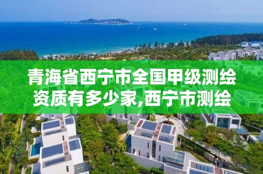 青海省西寧市全國(guó)甲級(jí)測(cè)繪資質(zhì)有多少家,西寧市測(cè)繪院怎么樣。