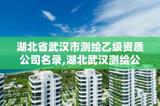 湖北省武漢市測繪乙級資質(zhì)公司名錄,湖北武漢測繪公司排行榜。