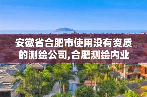 安徽省合肥市使用沒有資質的測繪公司,合肥測繪內業招聘。