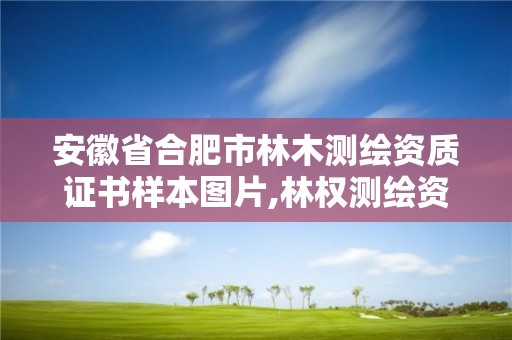 安徽省合肥市林木測(cè)繪資質(zhì)證書樣本圖片,林權(quán)測(cè)繪資質(zhì)。