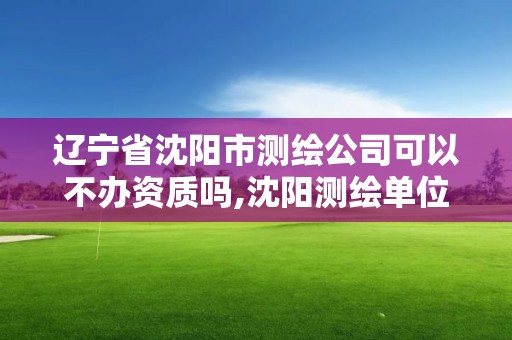 遼寧省沈陽市測繪公司可以不辦資質嗎,沈陽測繪單位排名。