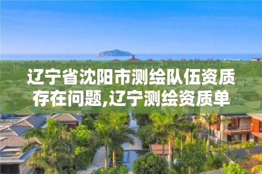 遼寧省沈陽市測繪隊伍資質存在問題,遼寧測繪資質單位。