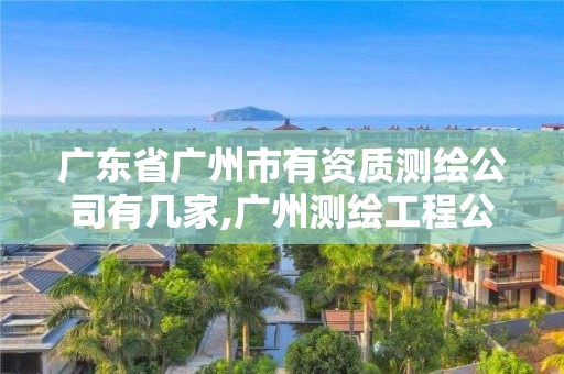 廣東省廣州市有資質(zhì)測(cè)繪公司有幾家,廣州測(cè)繪工程公司。