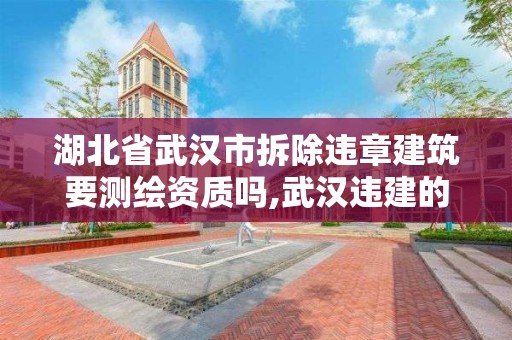 湖北省武漢市拆除違章建筑要測繪資質嗎,武漢違建的認定。