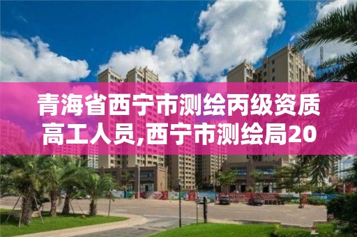 青海省西寧市測繪丙級資質高工人員,西寧市測繪局2020招聘。