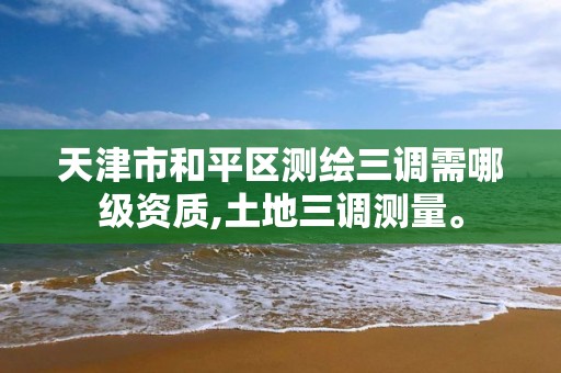 天津市和平區測繪三調需哪級資質,土地三調測量。