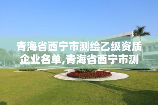 青海省西寧市測繪乙級資質企業名單,青海省西寧市測繪院。