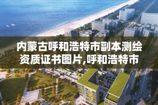 內蒙古呼和浩特市副本測繪資質證書圖片,呼和浩特市測繪儀器店。