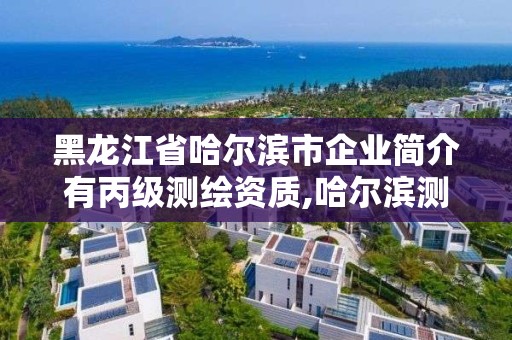 黑龍江省哈爾濱市企業簡介有丙級測繪資質,哈爾濱測繪學校。