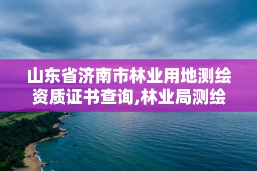 山東省濟(jì)南市林業(yè)用地測(cè)繪資質(zhì)證書(shū)查詢,林業(yè)局測(cè)繪是做什么的。