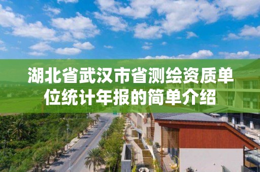 湖北省武漢市省測繪資質單位統計年報的簡單介紹