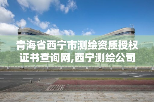 青海省西寧市測繪資質授權證書查詢網,西寧測繪公司聯系方式。