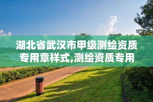 湖北省武漢市甲級測繪資質專用章樣式,測繪資質專用章樣式圖。