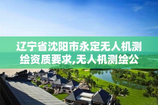 遼寧省沈陽市永定無人機測繪資質要求,無人機測繪公司。