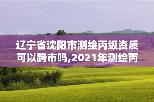 遼寧省沈陽市測繪丙級資質可以跨市嗎,2021年測繪丙級資質申報條件。