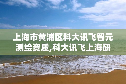 上海市黃浦區科大訊飛智元測繪資質,科大訊飛上海研發中心。