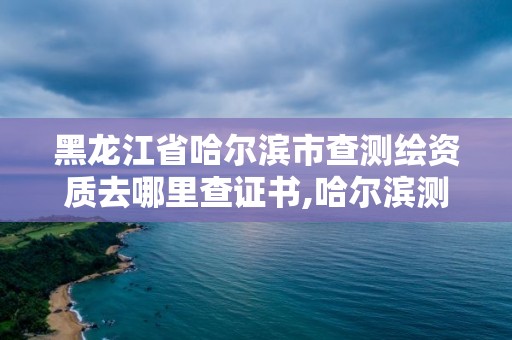 黑龍江省哈爾濱市查測繪資質(zhì)去哪里查證書,哈爾濱測繪局工資怎么樣。