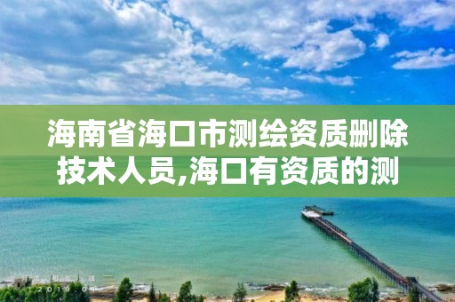 海南省海口市測繪資質刪除技術人員,海口有資質的測繪公司。