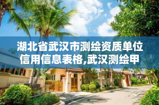 湖北省武漢市測繪資質單位信用信息表格,武漢測繪甲級資質公司。