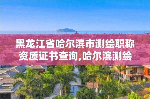 黑龍江省哈爾濱市測繪職稱資質證書查詢,哈爾濱測繪勘察研究院怎么樣。