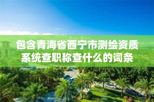 包含青海省西寧市測繪資質(zhì)系統(tǒng)查職稱查什么的詞條