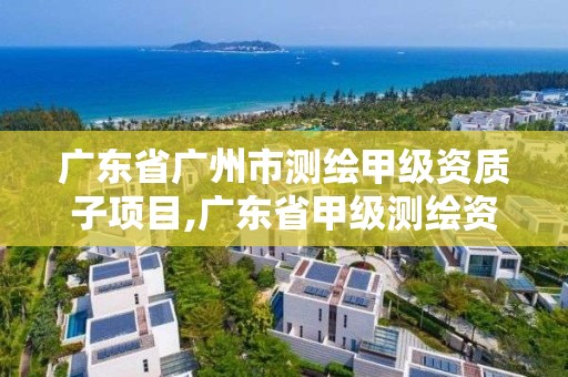 廣東省廣州市測繪甲級資質子項目,廣東省甲級測繪資質單位有多少。