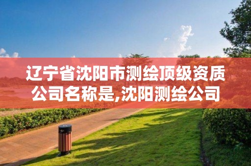 遼寧省沈陽市測繪頂級資質公司名稱是,沈陽測繪公司招聘信息最新招聘。