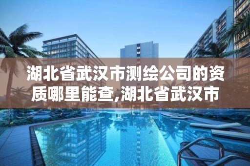 湖北省武漢市測繪公司的資質哪里能查,湖北省武漢市測繪公司的資質哪里能查到。