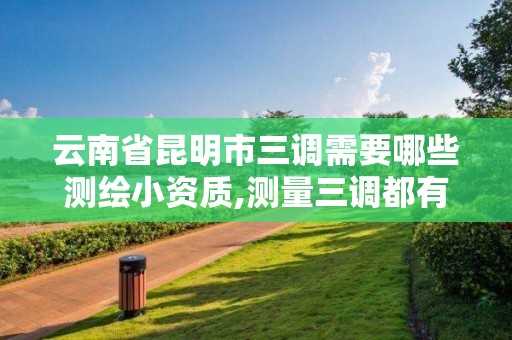 云南省昆明市三調需要哪些測繪小資質,測量三調都有哪些工作。