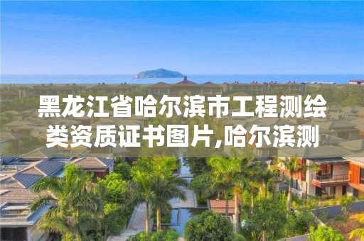 黑龍江省哈爾濱市工程測繪類資質(zhì)證書圖片,哈爾濱測繪公司有哪些。