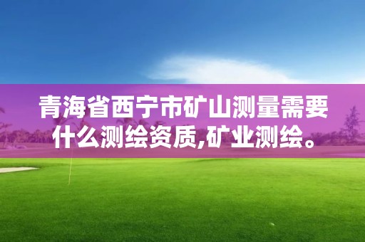 青海省西寧市礦山測量需要什么測繪資質,礦業測繪。