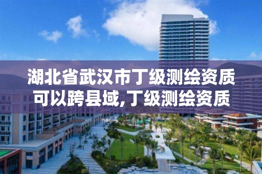 湖北省武漢市丁級測繪資質可以跨縣域,丁級測繪資質經營范圍。