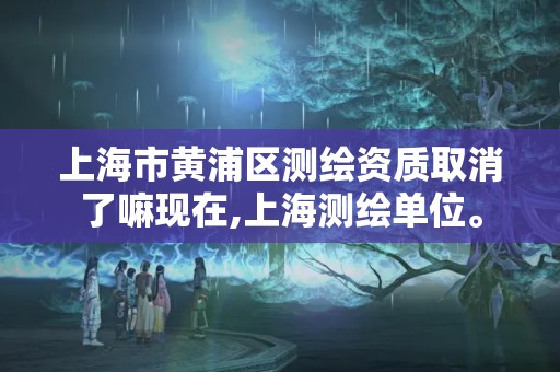 上海市黃浦區測繪資質取消了嘛現在,上海測繪單位。