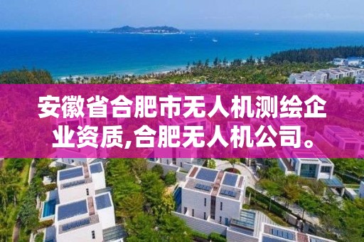 安徽省合肥市無(wú)人機(jī)測(cè)繪企業(yè)資質(zhì),合肥無(wú)人機(jī)公司。