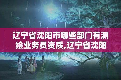 遼寧省沈陽市哪些部門有測繪業務員資質,遼寧省沈陽市哪些部門有測繪業務員資質的。