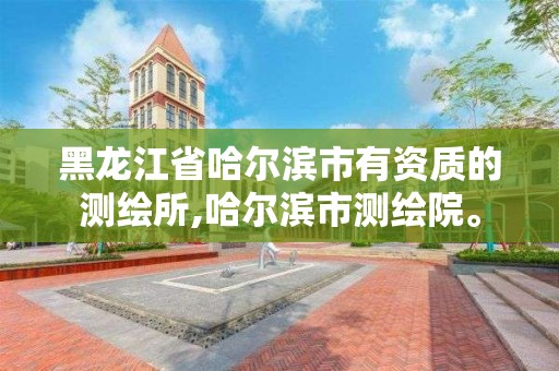 黑龍江省哈爾濱市有資質的測繪所,哈爾濱市測繪院。