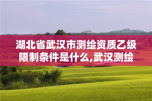 湖北省武漢市測繪資質(zhì)乙級限制條件是什么,武漢測繪設(shè)計院。