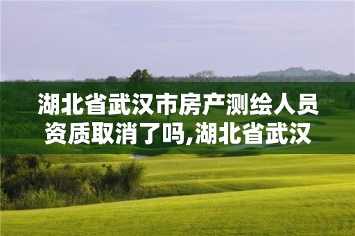 湖北省武漢市房產測繪人員資質取消了嗎,湖北省武漢市房產測繪人員資質取消了嗎今年。