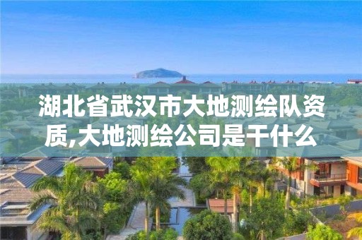 湖北省武漢市大地測繪隊資質,大地測繪公司是干什么的。