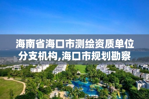 海南省海口市測繪資質單位分支機構,海口市規劃勘察測繪服務中心。