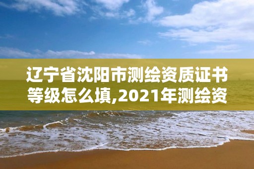 遼寧省沈陽市測繪資質證書等級怎么填,2021年測繪資質。