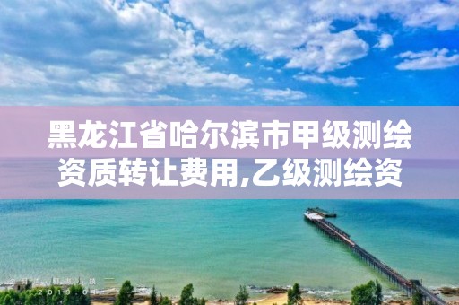 黑龍江省哈爾濱市甲級測繪資質(zhì)轉(zhuǎn)讓費(fèi)用,乙級測繪資質(zhì)轉(zhuǎn)讓多少錢。