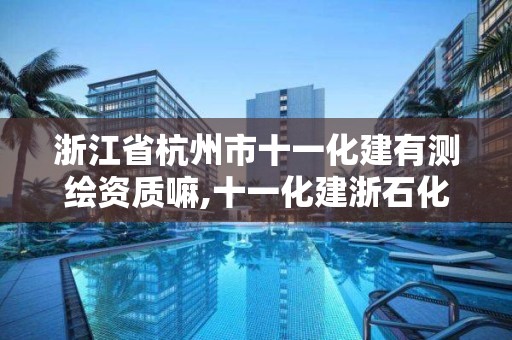 浙江省杭州市十一化建有測繪資質嘛,十一化建浙石化項目。