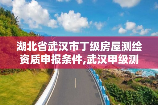 湖北省武漢市丁級房屋測繪資質申報條件,武漢甲級測繪資質名錄。