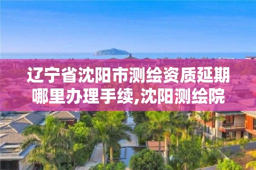 遼寧省沈陽市測繪資質(zhì)延期哪里辦理手續(xù),沈陽測繪院電話。